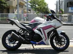 ヤマハ　ＹＺＦ−Ｒ２５　ＲＧ１０Ｊ　ＦＩ　フェンダーレス　エンジンスライダー