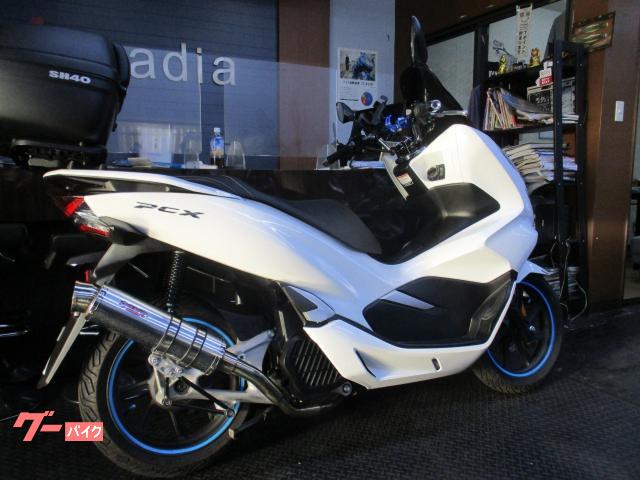 ホンダ ＰＣＸ　ＪＦ８１ＢＯＸマフラースクリーン付きの画像（埼玉県