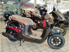 ホンダ　ジョルノ　クマモン　２０２５年　国内新車