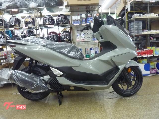 ＰＣＸ１６０　２０２５年モデル