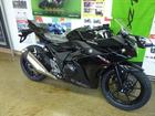 スズキ ＧＳＸ２５０Ｒの画像（東京都