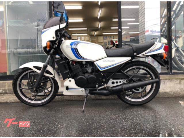 rz 250 350? ビキニカウル-