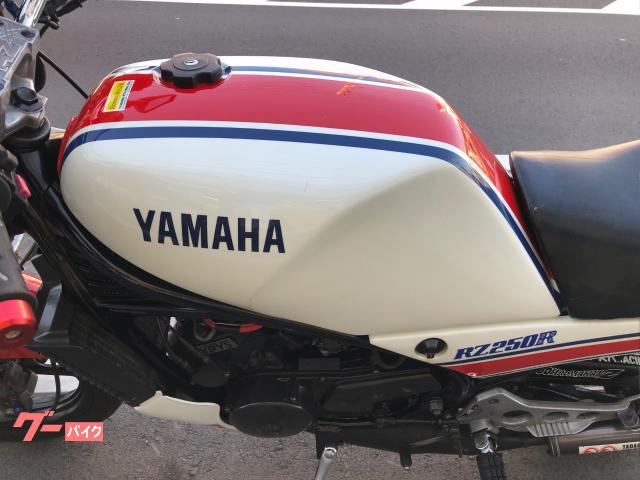 ヤマハ ＲＺ２５０Ｒ ２９Ｌ ＹＰＶＳ ＳＰ忠男チャンバー 純正ビキニカウル 純正アンダーカウル オムスビ  ＡＲＥＡ４７オイルポンプカバー｜エリア４７｜新車・中古バイクなら【グーバイク】