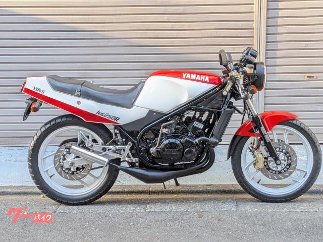 ＲＺ２５０Ｒ　ブレンボキャリパー　マスター　チャンバー　セパハン