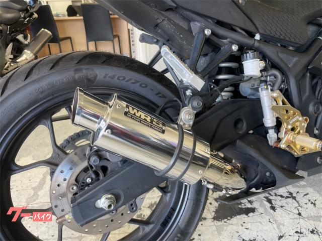 【1週間限定価格】YZF-R25(RG43J)Akrapovic マフラー Amazon.co.jp: アクラポヴィッチ(AKRAPOVIC) マフラー スリップ