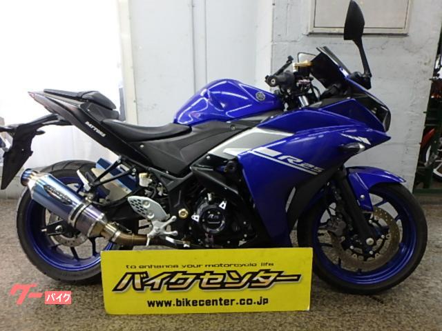 ＹＺＦ−Ｒ２５　２０１７年　ＢＥＥＴマフラー　カスタムクランクカバー＆チェーンカバー　他