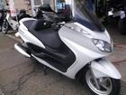 ヤマハ グランドマジェスティ２５０の画像（新潟県