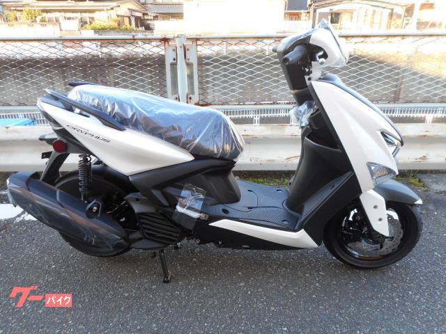 シグナス　グリファス