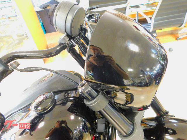HARLEY-DAVIDSON FXLRS S 2023 — миниатюра 6