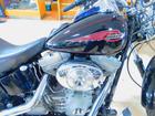 ＨＡＲＬＥＹ－ＤＡＶＩＤＳＯＮ ＦＸＳＴ　ソフテイルスタンダードの画像（神奈川県
