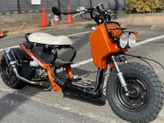 グーバイク】「ズーマー ロンホイ」のバイク検索結果一覧(1～6件)