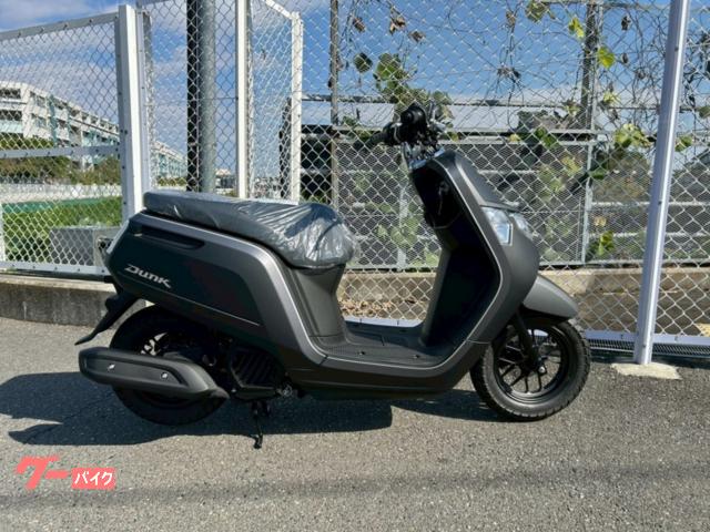 ダンク　現行モデル新車　マットバリスティックブラックメタリック