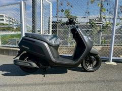 ホンダ　ダンク　現行モデル新車　マットバリスティックブラックメタリック