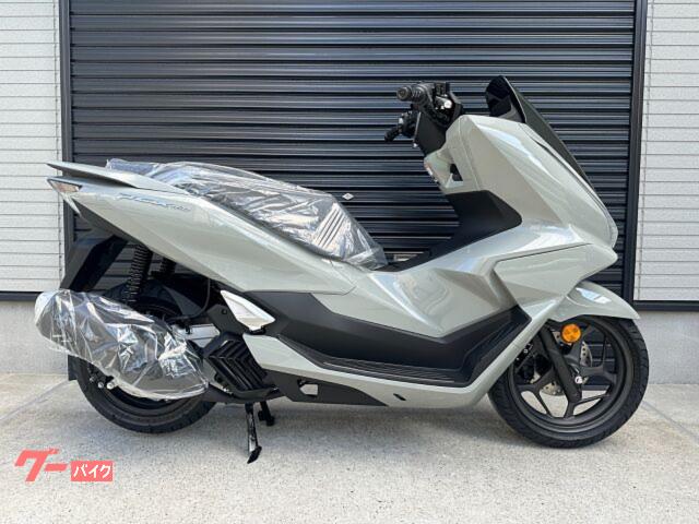 ＰＣＸ１６０　２０２５年最新モデル　パールジュピターグレー