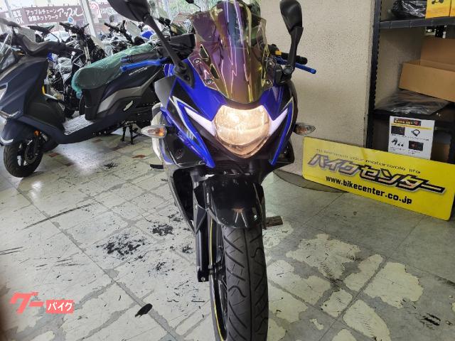 スズキ GSX250R ブルー 2020 社外スクリーン デジタル 