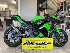 カワサキ　Ｎｉｎｊａ　２５０　スペシャルエディション　ＥＸ２５０Ｌ　ＵＳＢ　ＥＴＣ付き　社外マフラー付き