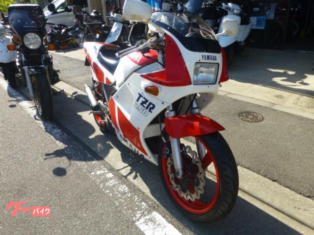 ヤマハ TZR250 1KT｜SPーV｜新車・中古バイクなら