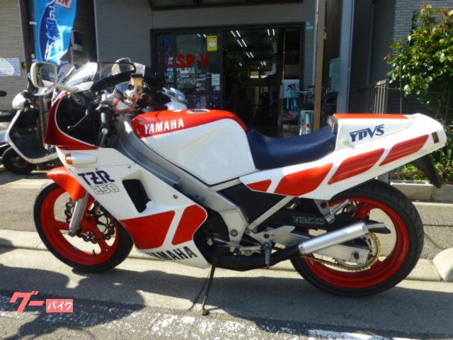 ヤマハ TZR250 1KT｜SPーV｜新車・中古バイクなら