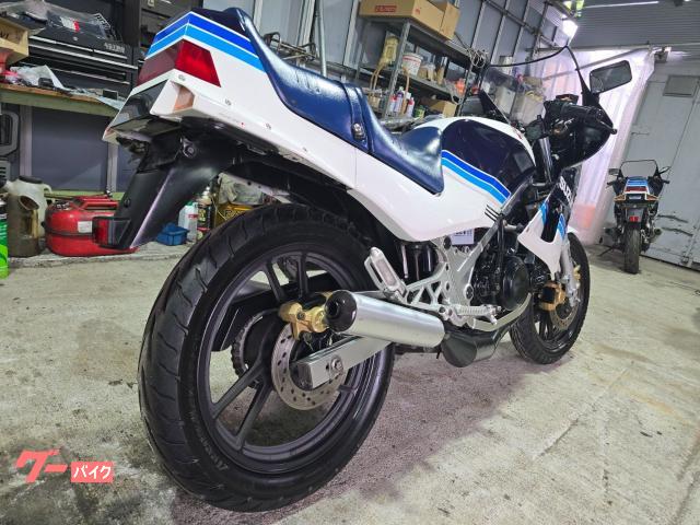 スズキ RG250ガンマ 最初期型／純正オリジナルペイント／フル