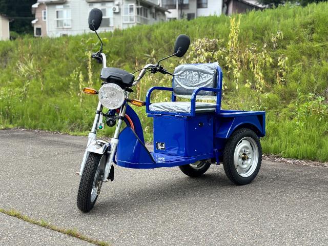 国産・他メーカー 国産・他車種 リュウド RE001 電動三輪車 特定 