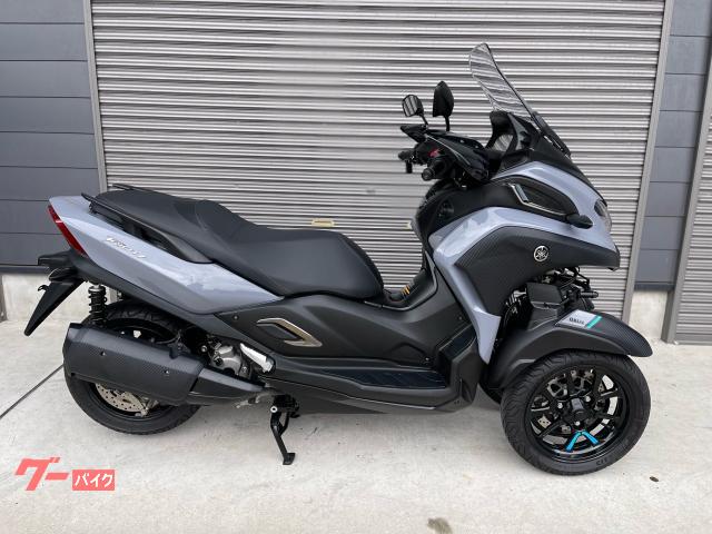 トリシティ３００