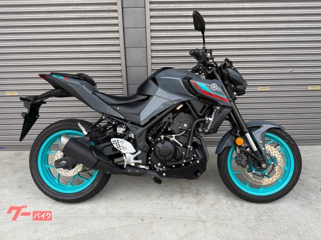 ＭＴ－２５　ＲＧ７４Ｊ