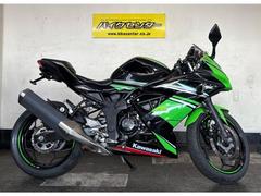 カワサキ　Ｎｉｎｊａ　２５０ＳＬ　２０１６年モデル　ライムグリーン　６速ＭＴ　ＡＢＳ　ＵＳＢワンポート　社外ブレーキレバー　インジェクション