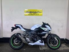 カワサキ　Ｚ２５０　２０１４年モデル　パールスターダストホワイト　６速ＭＴ　ＵＳＢ１ポート　ＥＴＣ搭載　インジェクション　ノーマル