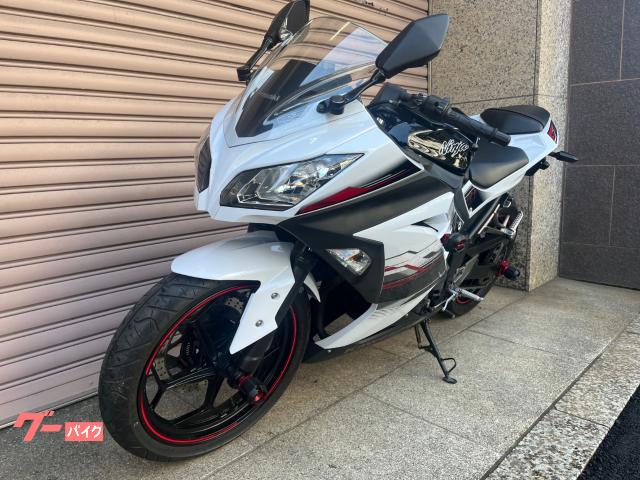 こゆき　NINJA250 ABS スペシャルエディション カウル一式 こゆき NINJA250 ABS スペシャルエディション カウル一式 こゆき
