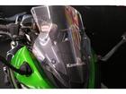 カワサキ Ｎｉｎｊａ　１０００　ＳＸ　純正スライダー装備の画像（神奈川県