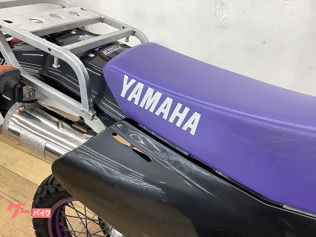 ヤマハ TT250R RSVマフラー装備 社外ヘッドライト デジタル  
