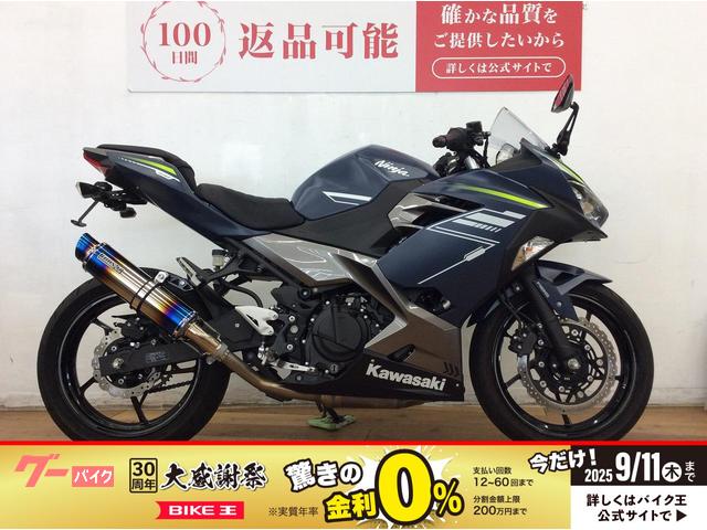 Ｎｉｎｊａ　４００　ビームスヒートチタンサイレンサー　ＷＩＬＤＷＯＬＦシート　フェンダーレス