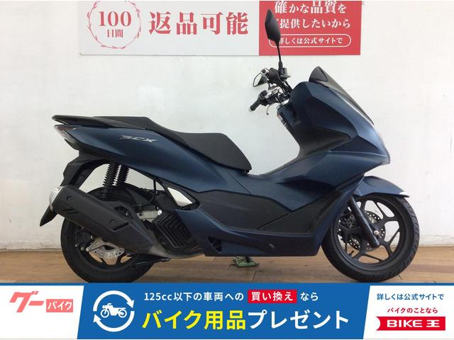 ＰＣＸ　２０２３年モデル　マットスーツブルーメタリック