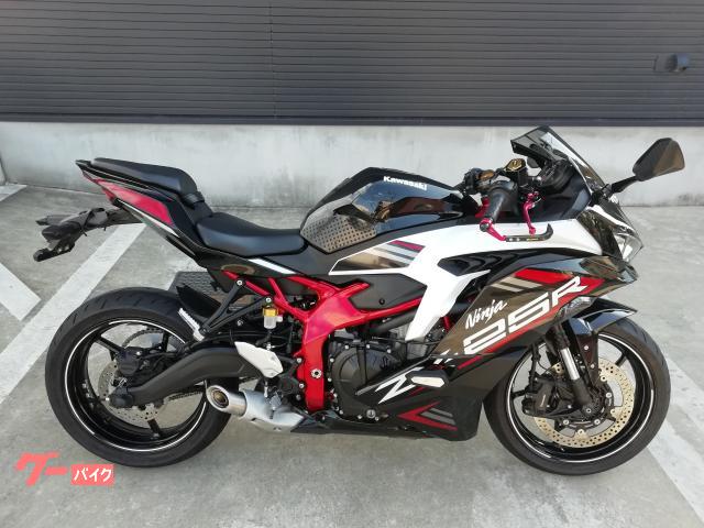 カワサキ Ｎｉｎｊａ ＺＸ－２５Ｒ ＳＥ ワンオーナー車 インテーク