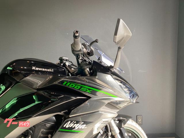 Kawasaki Ninja 1100 SX — миниатюра 4
