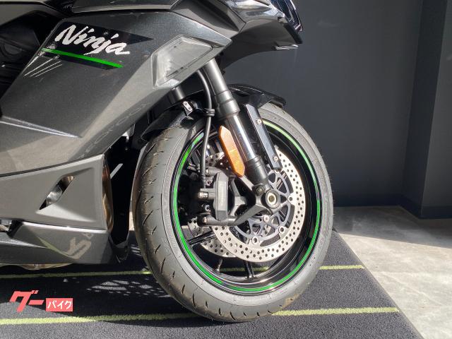 Kawasaki Ninja 1100 SX — миниатюра 5