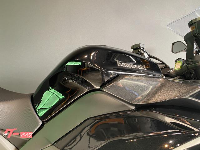 Kawasaki Ninja 1100 SX — миниатюра 6