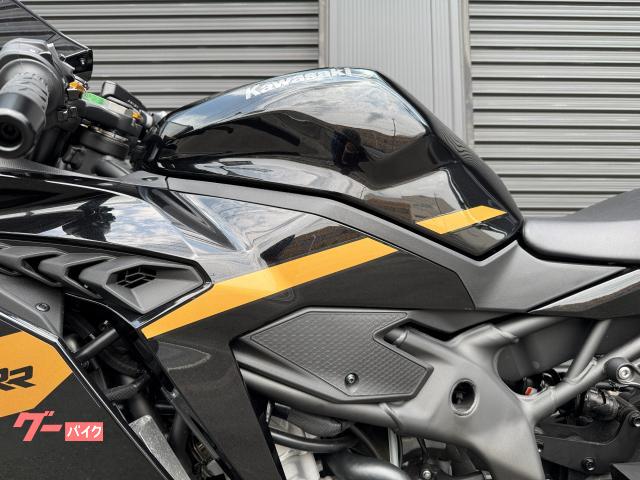 カワサキ Ninja ZX－4R SE ブラック外装コンバート