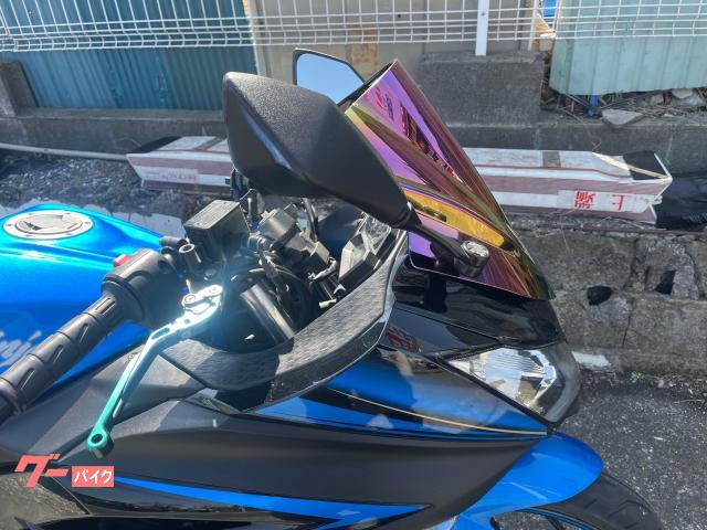 カワサキ Ｎｉｎｊａ　２５０　ＳＥ　スリッパークラッチ装備　ミラースクリーン　イクシルマフラーの画像（東京都