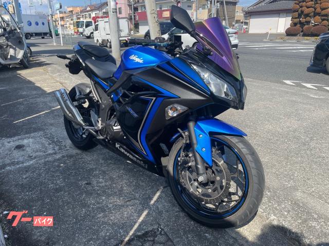 カワサキ Ｎｉｎｊａ　２５０　ＳＥ　スリッパークラッチ装備　ミラースクリーン　イクシルマフラーの画像（東京都