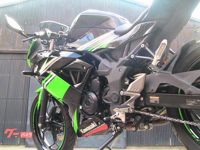 カワサキ Ninja 250SL ABS KRT Edition 特別