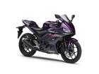 ヤマハ ＹＺＦ－Ｒ２５の画像（群馬県