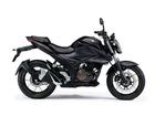 スズキ ＧＩＸＸＥＲ　２５０の画像（群馬県
