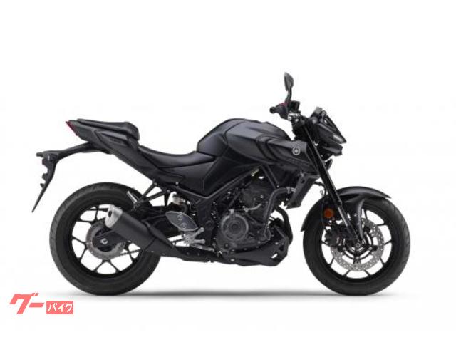 ＭＴ−０３（３２０ｃｃ）　２０２５年モデル