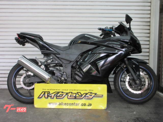 Ｎｉｎｊａ　２５０Ｒ　２００８年モデル　ＥＸ２５０Ｋ型　ドラレコ　ペイント