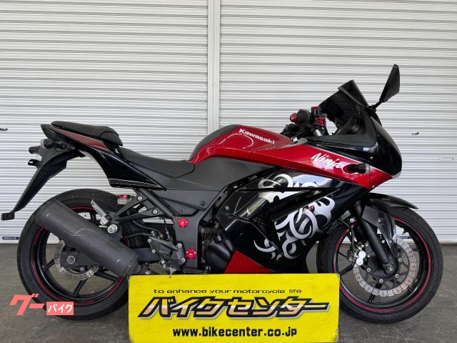Ninja 250R 2010年モデル EX250K型 インジェクション 社外スクリーン 社外レバー タンクカーボンプロテクター