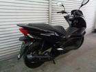 ホンダ ＰＣＸ　２０１５年モデル　ノーマル　インジェクション　ＪＦ５６型の画像（東京都