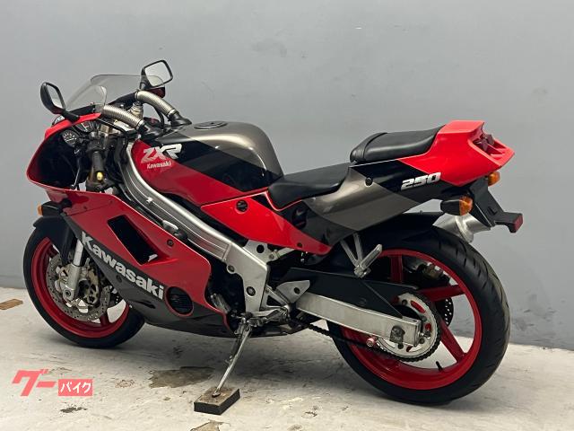 Ｒ.様 Kawasaki 激レア エコバッグ ニンジャカラー（ニンジャ250