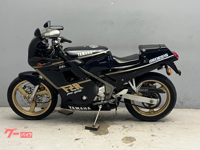 YAMAHAFZR250 値下げ。 FZR250はアルミフレームになる前の世代が1番人気だった！【このバイク