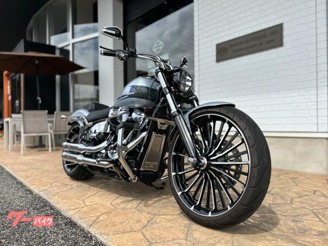 HARLEY－DAVIDSON FXBR ソフテイル ブレイクアウト